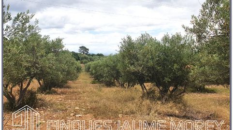 Terreno en venta en Selva, imatge 3