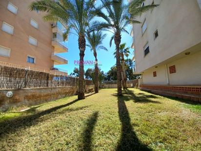 Vista exterior de Apartament en venda en Guardamar del Segura amb Aire condicionat i Terrassa