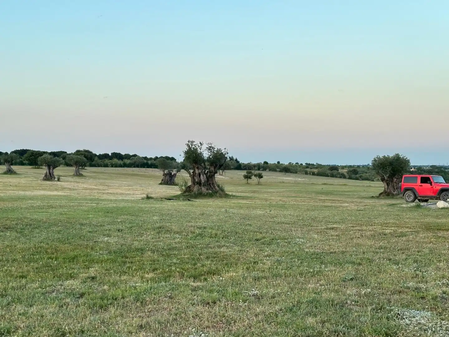 Terreno en venta en Madrid