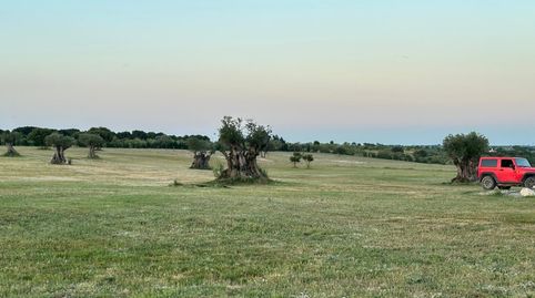 Foto 4 von Grundstücke zum Verkauf in Carretera de el Pardo a Fuencarral, 4, Montecarmelo, Madrid Capital
