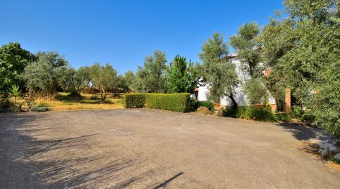 Foto 4 de Finca rústica en venda a Arriate, Málaga