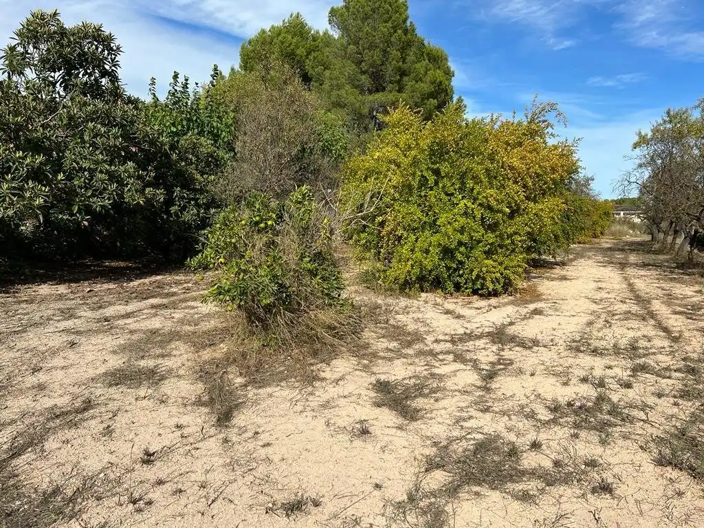 Grundstücke und Bauplätze zum Verkauf in Santa Ana, imagen 4