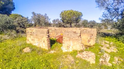 Foto 4 de Finca rústica en venda a Calle Camino de la Ermita, Villablanca, Huelva