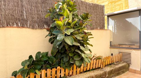 Foto 2 de Planta baja en venta en Carrer de Alguersuari I Pascual, Sol i Padris - Sant Oleguer, Sabadell