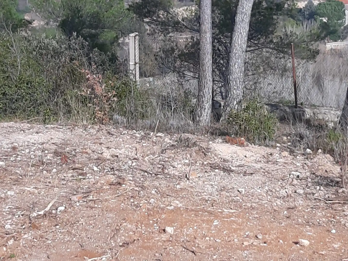 Terreno residencial en venta en La Pobla de Claramunt, imagen 13