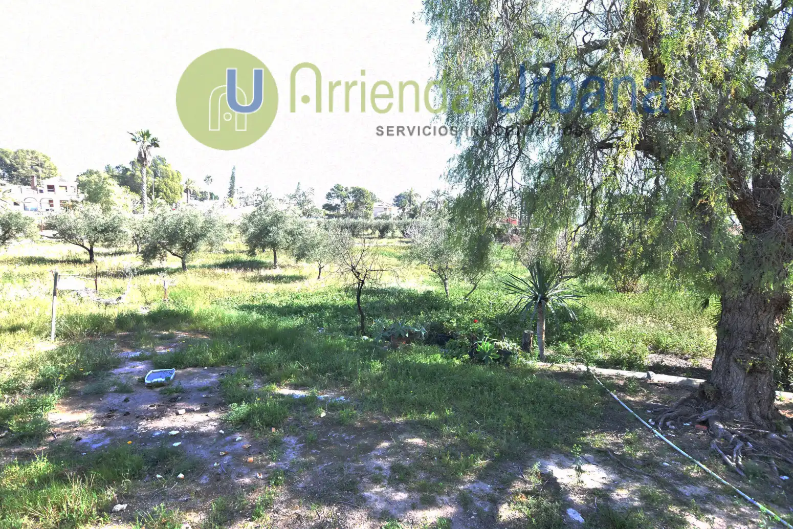 Casa o xalet en venda en Elche / Elx amb Jardí privat i Terrassa