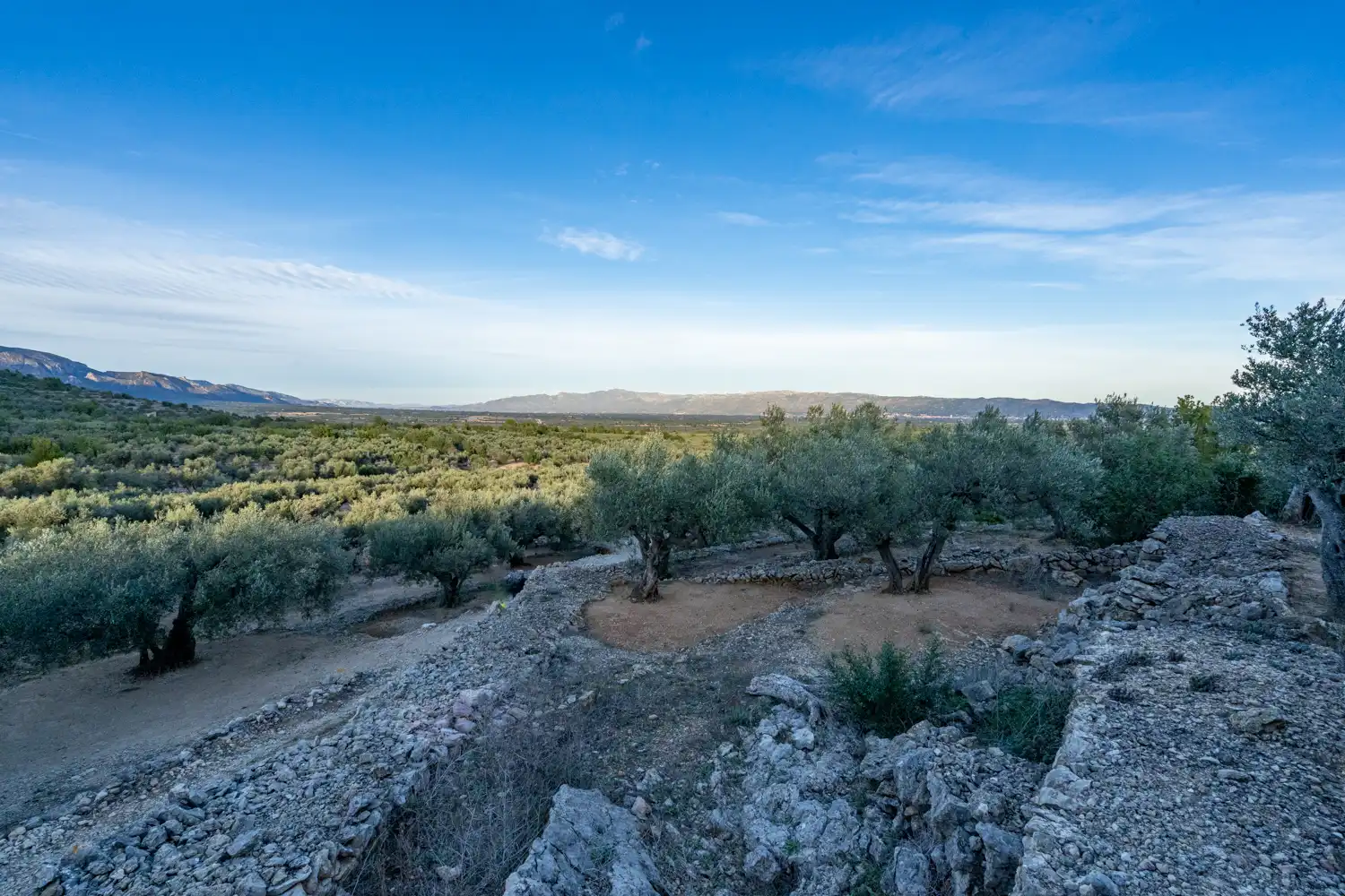 Terrain rustique à vendre à Roquetes, imagen 22