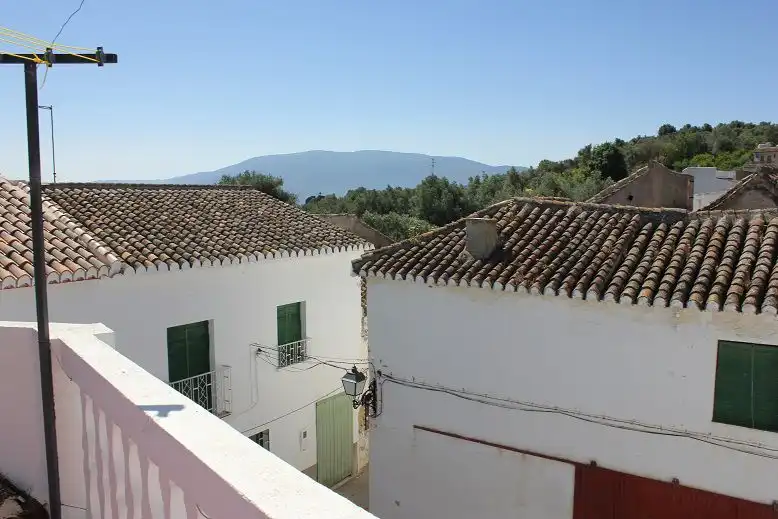 Casa en venta en El Pinar, imagen 8
