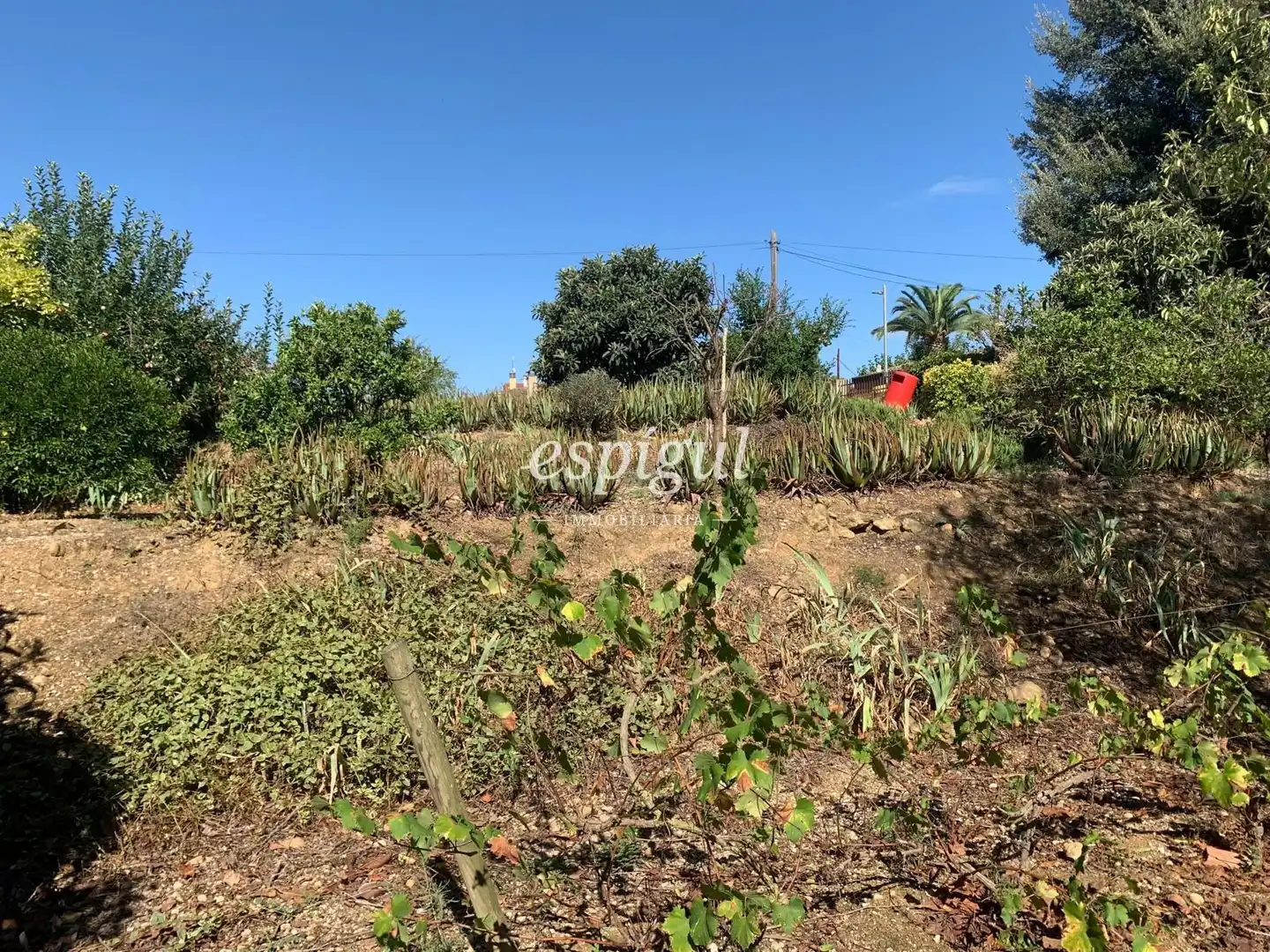 Land for sale in Dels pirineus, Bàscara