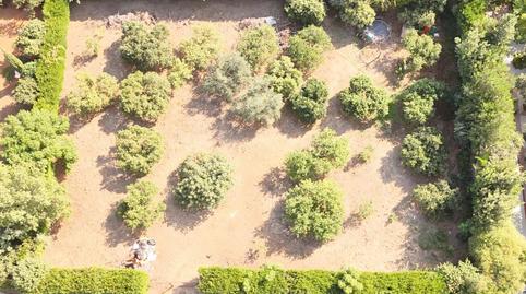 Photo 3 of Residential for sale in Calle Naranjal, 6, Loreto, Espartinas