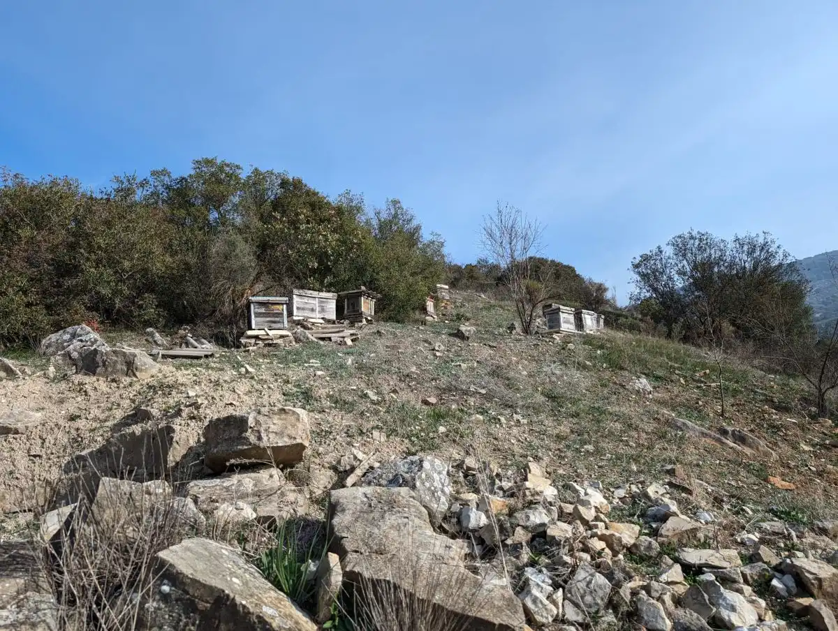 Casa rustica in vendita a Montefrío, imagen 6