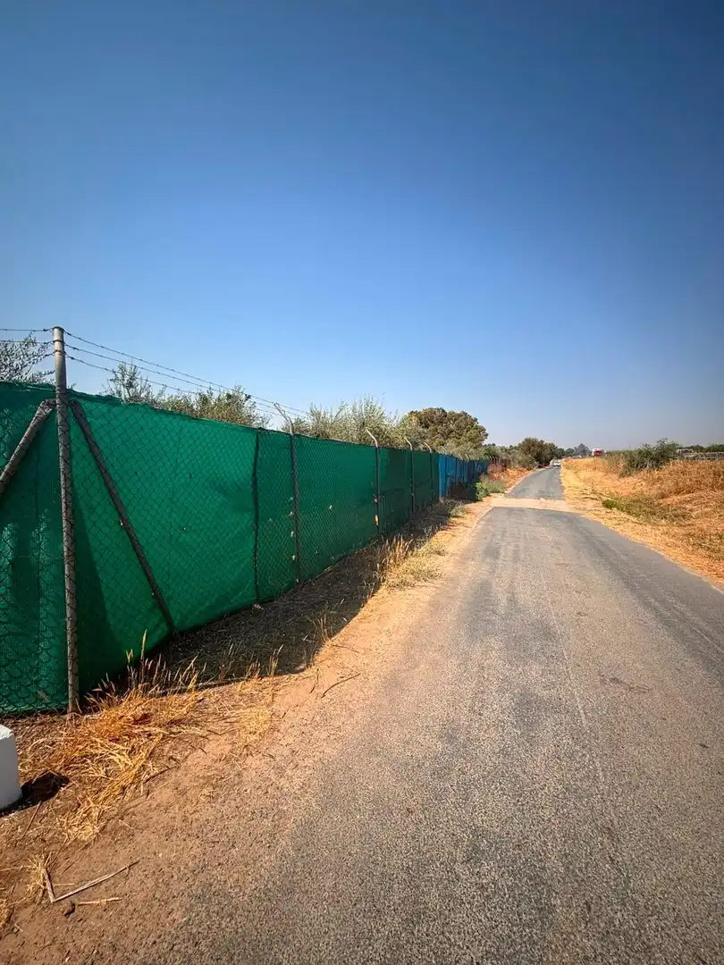Vista exterior de Finca rústica en venda en Huévar del Aljarafe amb Jardí privat, Traster i Piscina