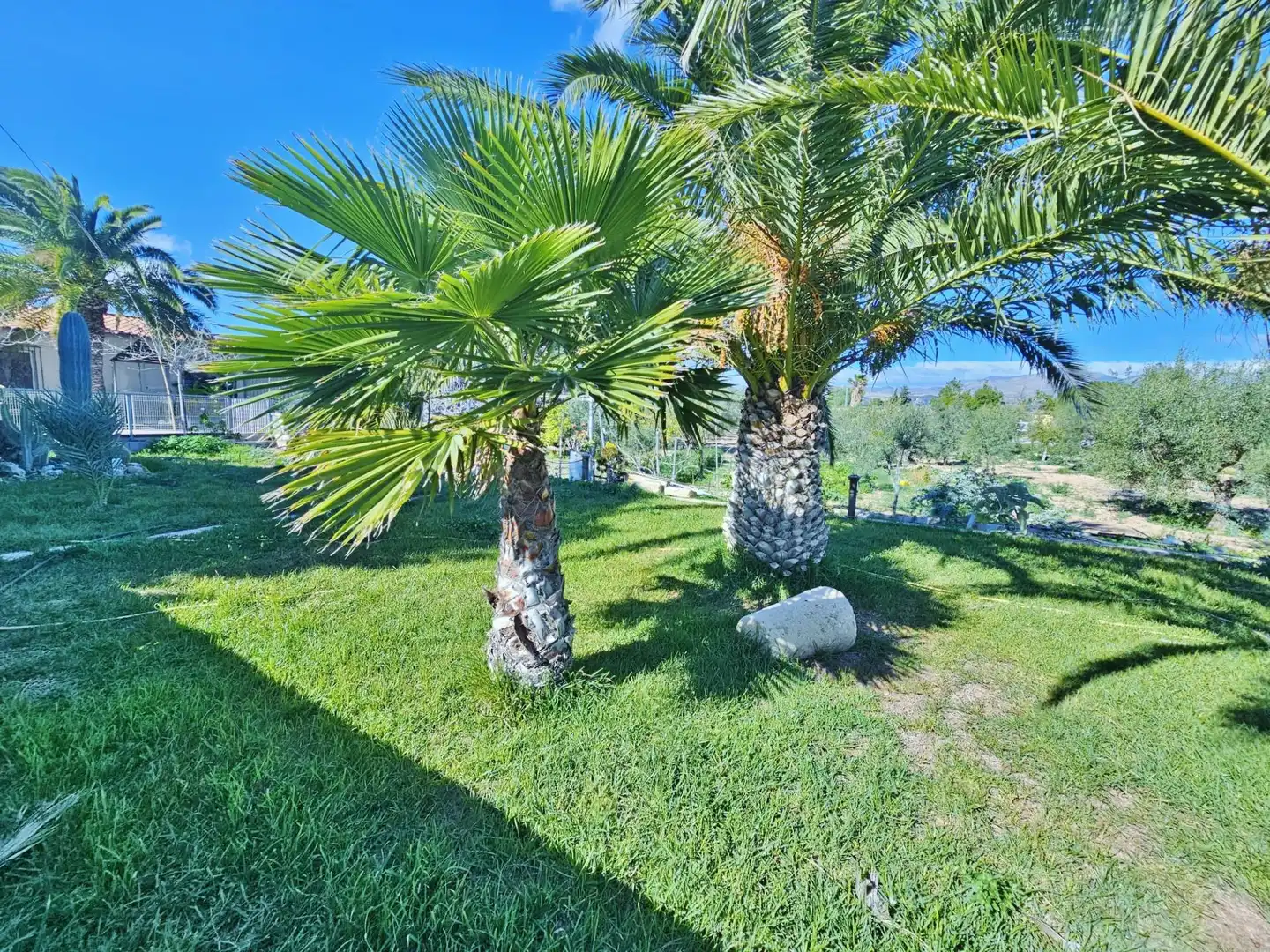Jardín de Finca rústica en venta en Alicante / Alacant