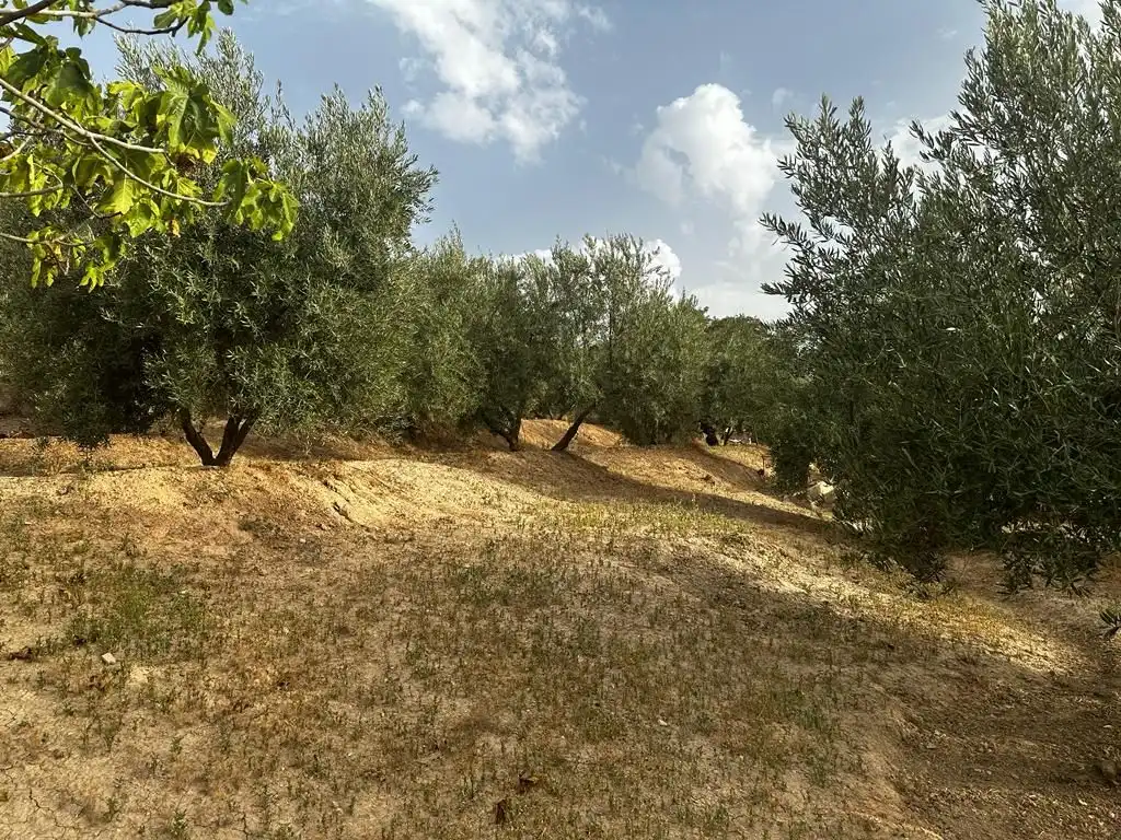 Terrain rustique à vendre à Peligros, imagen 7