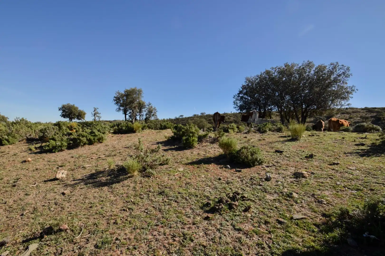 Terreno en venta en Paraje de las Perdices, Lugros