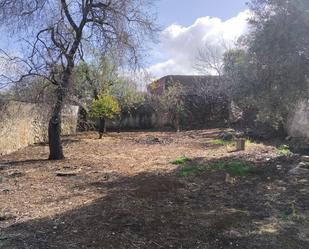 Casa o xalet en venda en Almendral