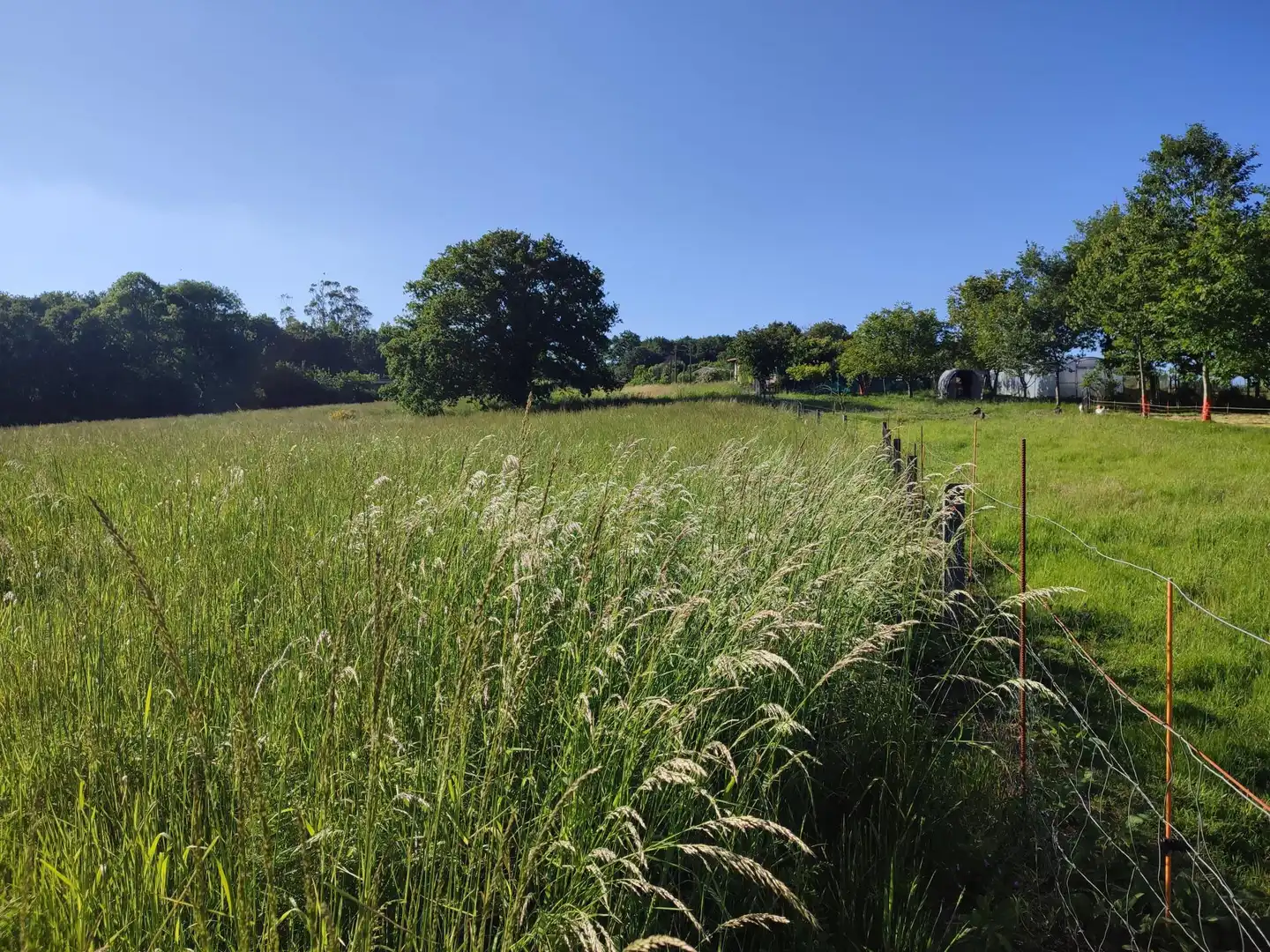 Residential land for sale in Parroquias de Santiago, imagen 9