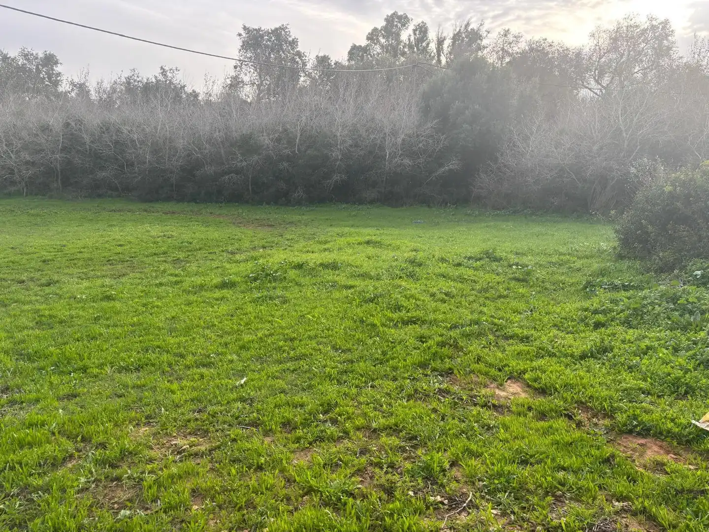 Terreno en venta en Vejer de la Frontera