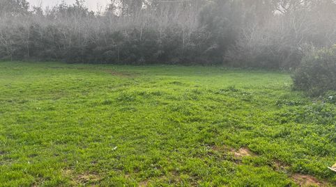 Foto 4 de Terreno en venta en La Muela, Vejer de la Frontera