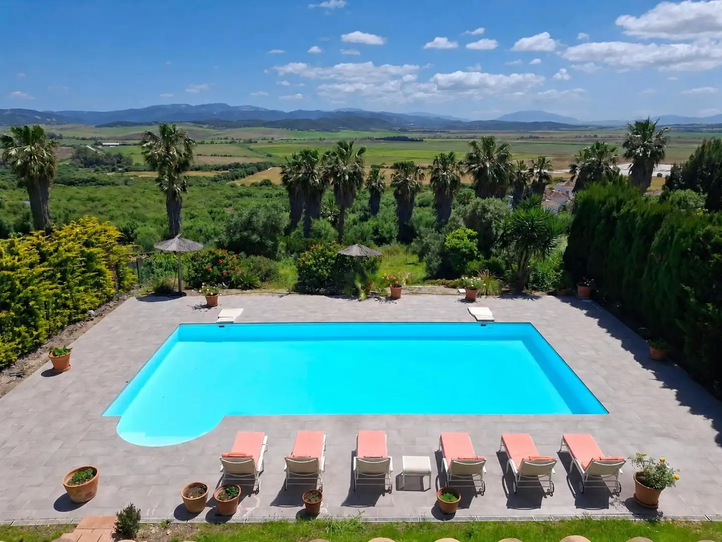 Piscina de Casa o xalet en venda en Benalup-Casas Viejas amb Aire condicionat, Calefacció i Jardí privat