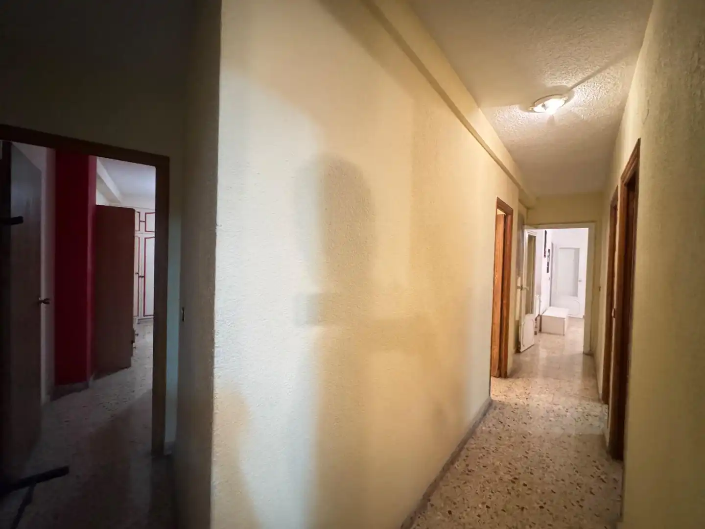 Piso con terraza en venta en Pla - Carolinas, imagen 12