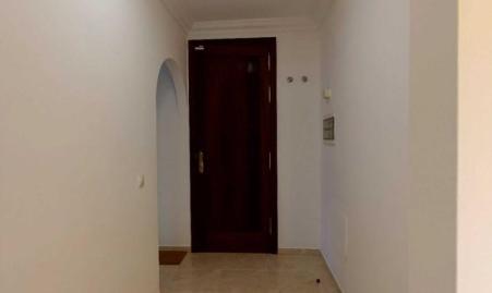 Foto 3 de Pis de lloguer a Calle Cuatro Cantillos, -1, El Bebedero - Pinolere - Aguamansa, Santa Cruz de Tenerife