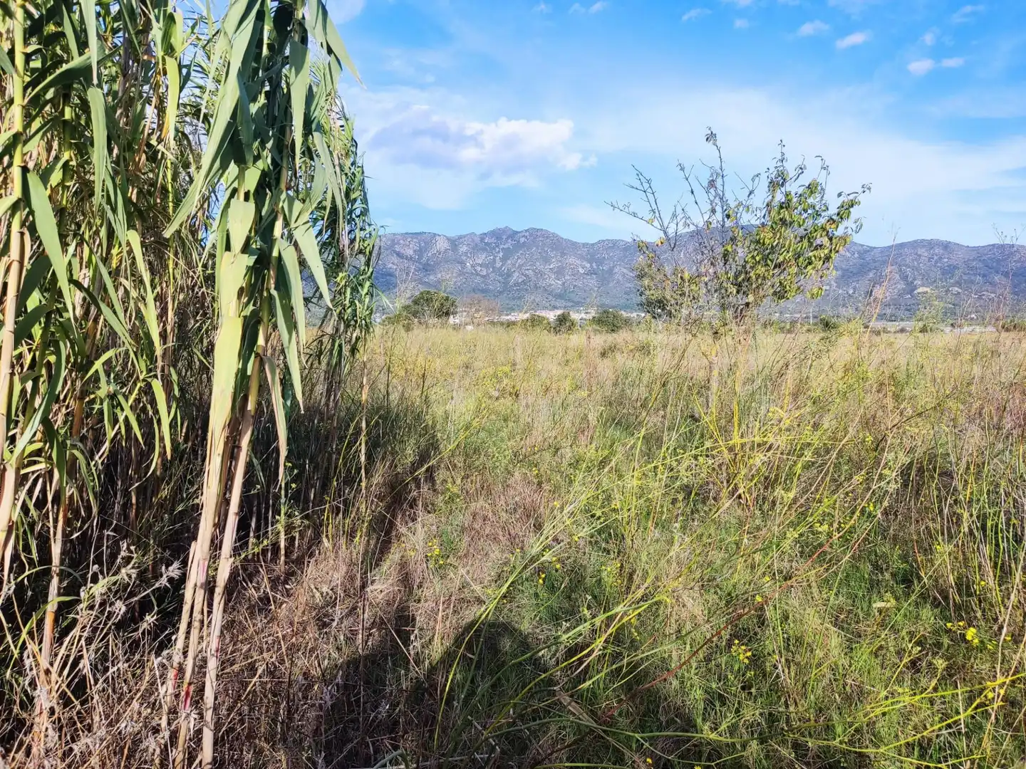 Terrenys i solars en venda a Desconocido 1G, imagen 5