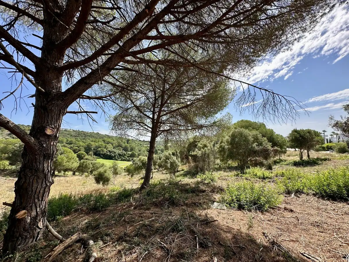 Terreni e lotti in vendita a Lugar Sotogrande 417, imagen 7