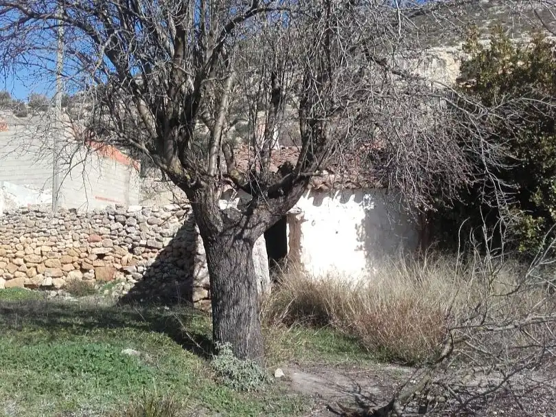Casa en venda a Alpera 58, imagen 7