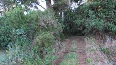 Foto 5 de Finca rústica en venta en Icod El Alto, Los Realejos