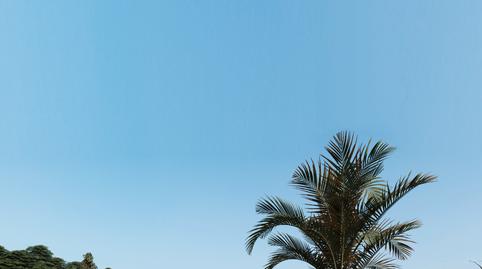 Photo 2 of Flat for sale in Avenida de Picasso, 1, Oliva Nova, Valencia