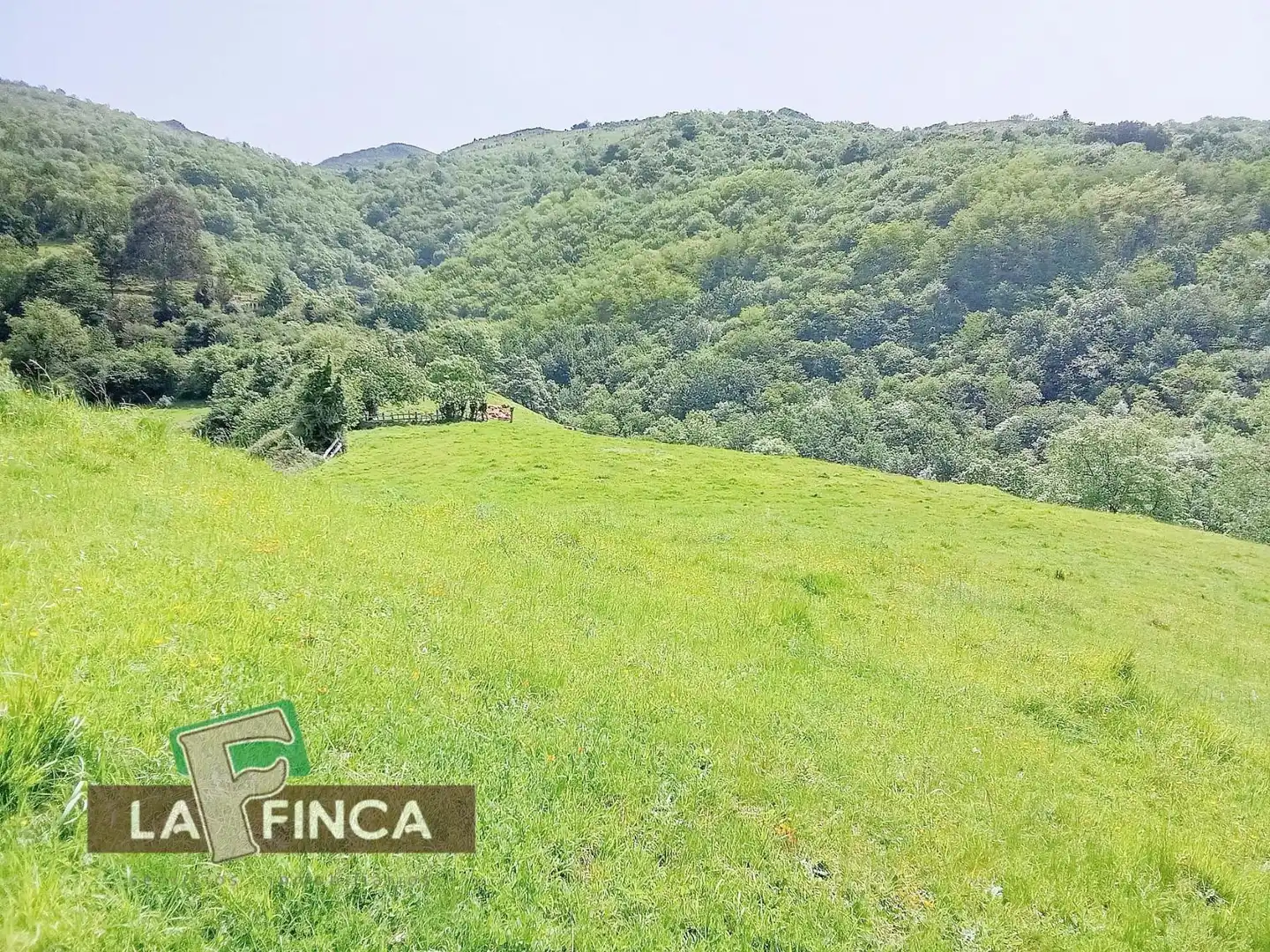 Residencial en venta en Lena