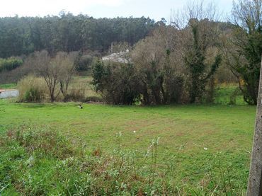 Terreno residenziale in vendita a Boiro