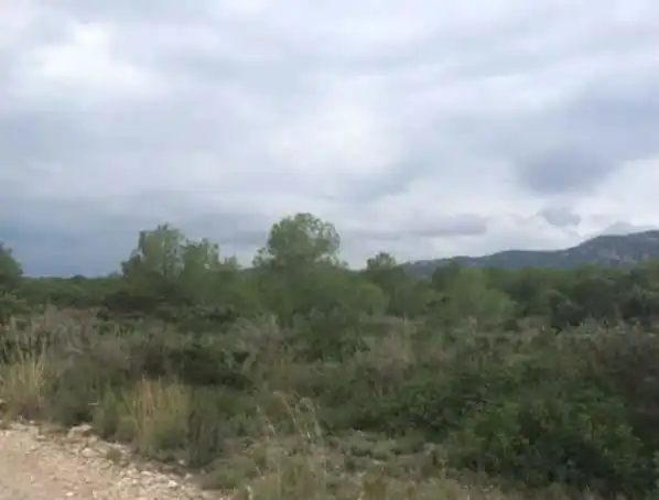 Terreny en venda en Peñíscola / Peníscola
