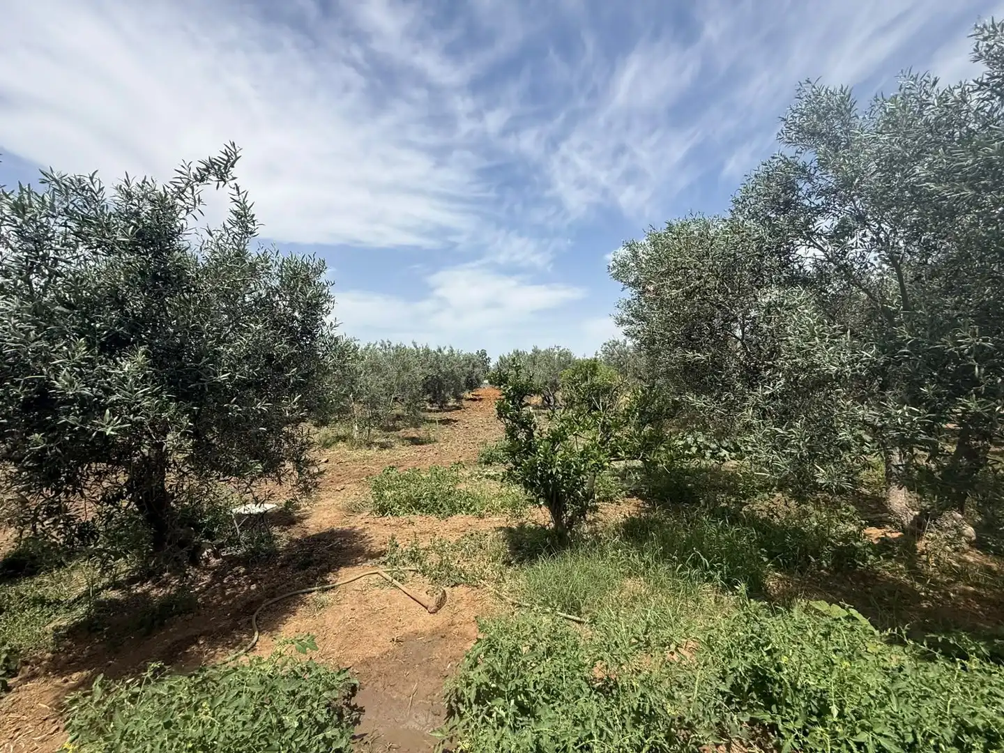 Country house zum Verkauf in Utrera mit Privatgarten, Terrasse und Schwimmbad