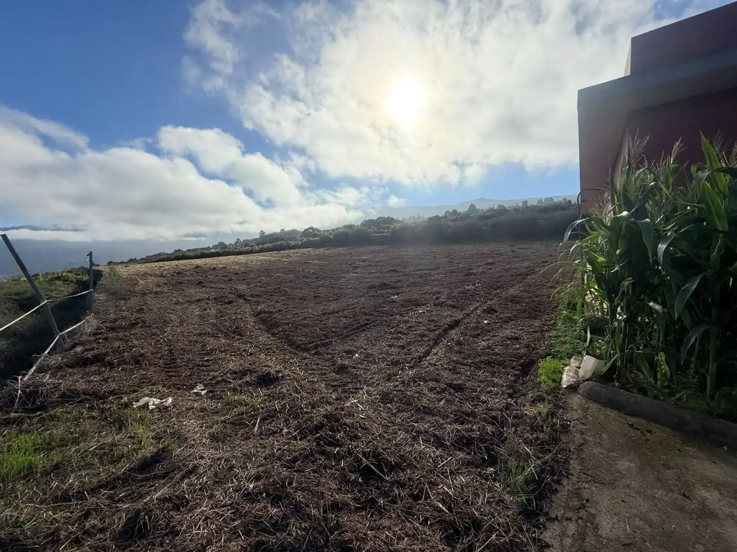Finca rústica en venda en La Orotava