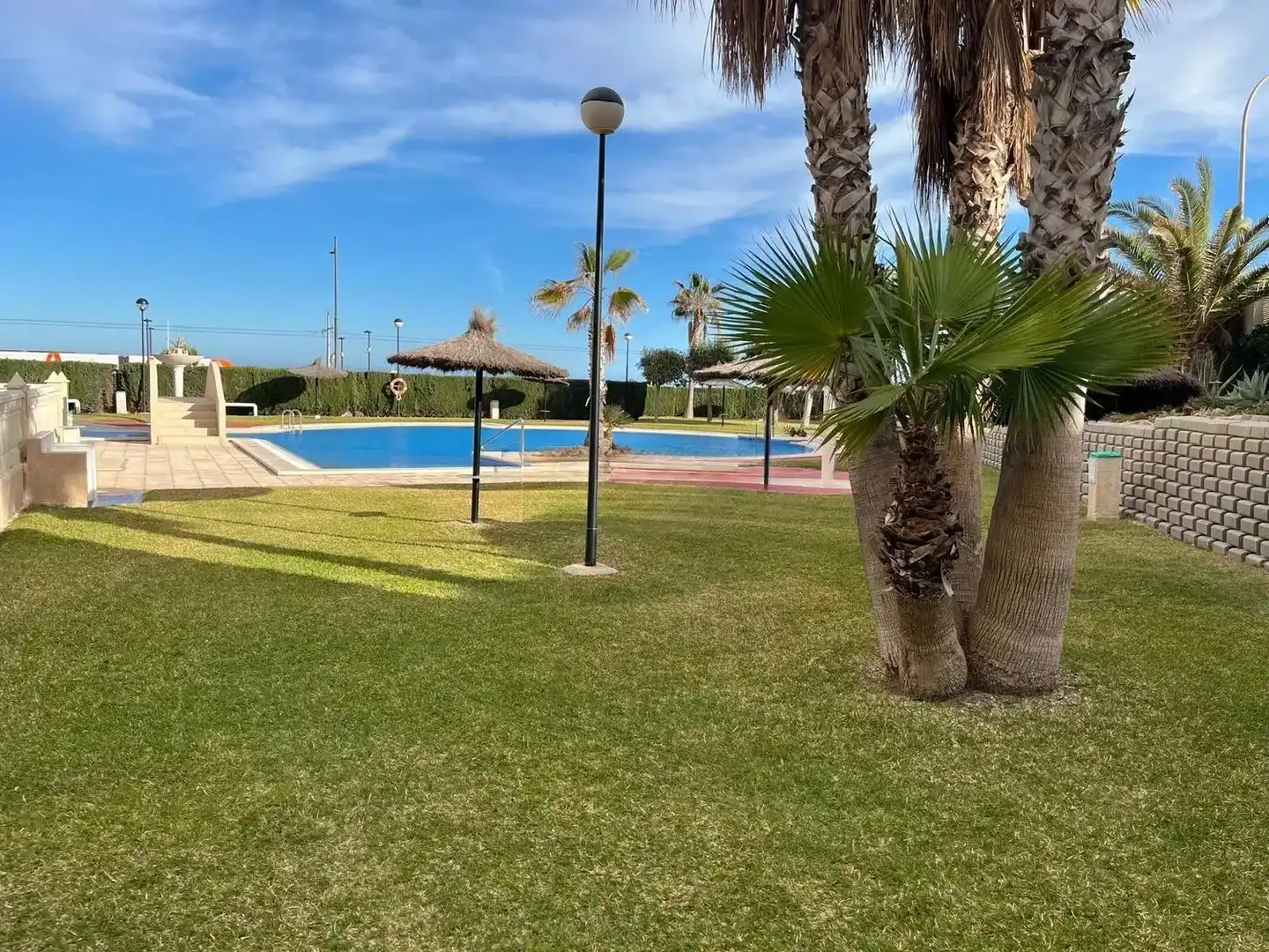 Swimming pool of Flat for rent in El Campello  with Terrace, Swimming Pool and Oven