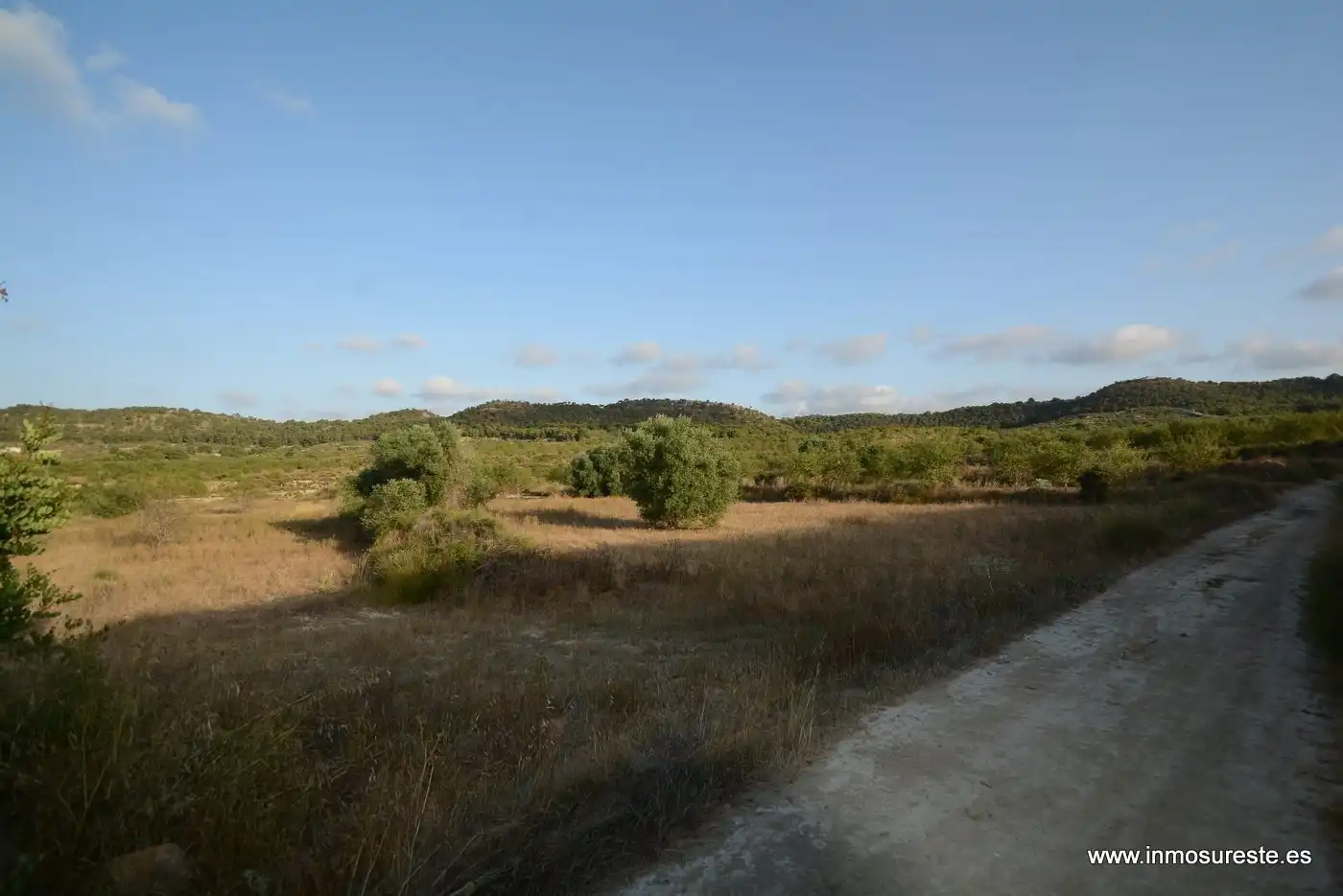 Terreno rústico en venta en Desamparados - Hurchillo - Torremendo, imagen 10