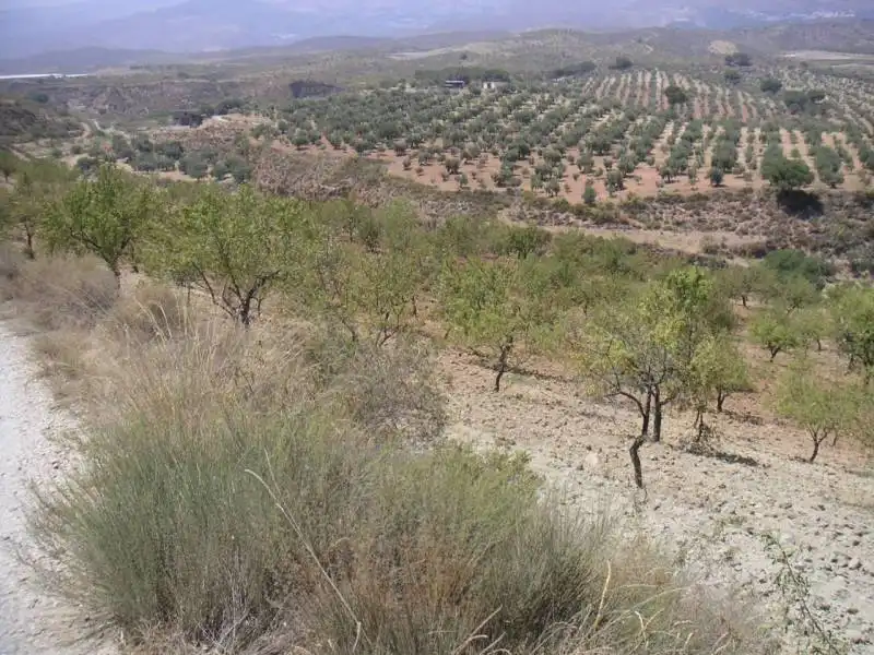 Casa o chalet en venta en Ugíjar