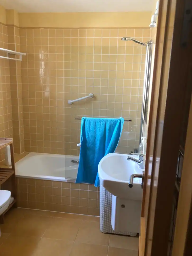 Bany de Casa o xalet en venda en Chiclana de la Frontera amb Aire condicionat, Calefacció i Jardí privat
