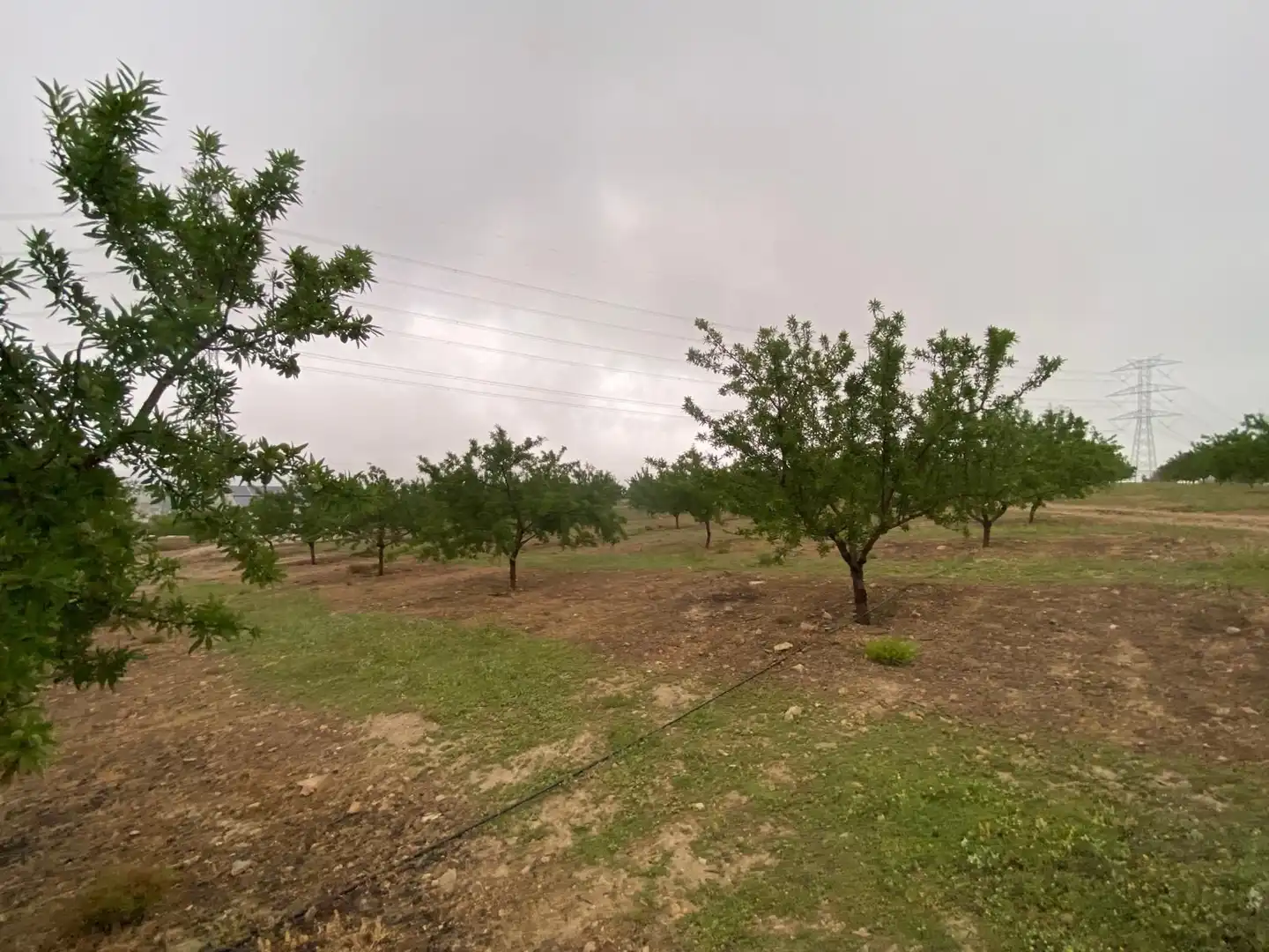 Terreni e lotti in vendita a Guadahortuna, imagen 23