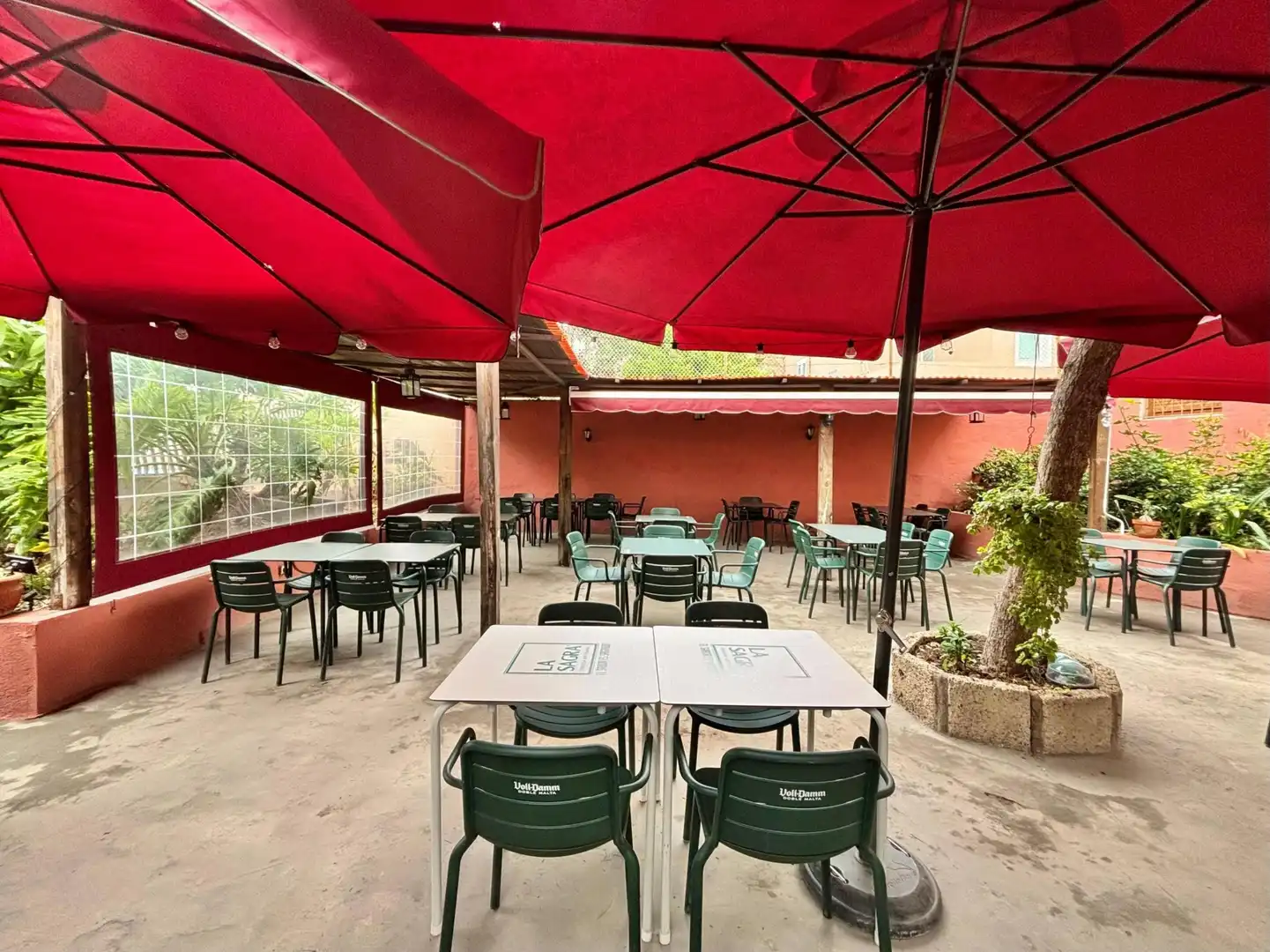 Terraza de Local de alquiler en Güímar