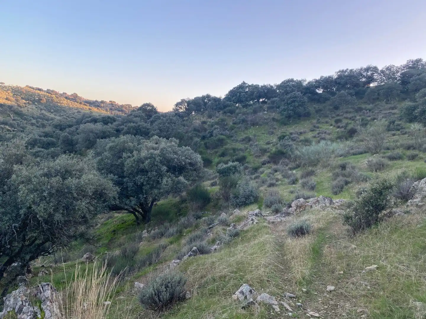 Terreni e lotti in vendita a Villar del Pedroso, imagen 8