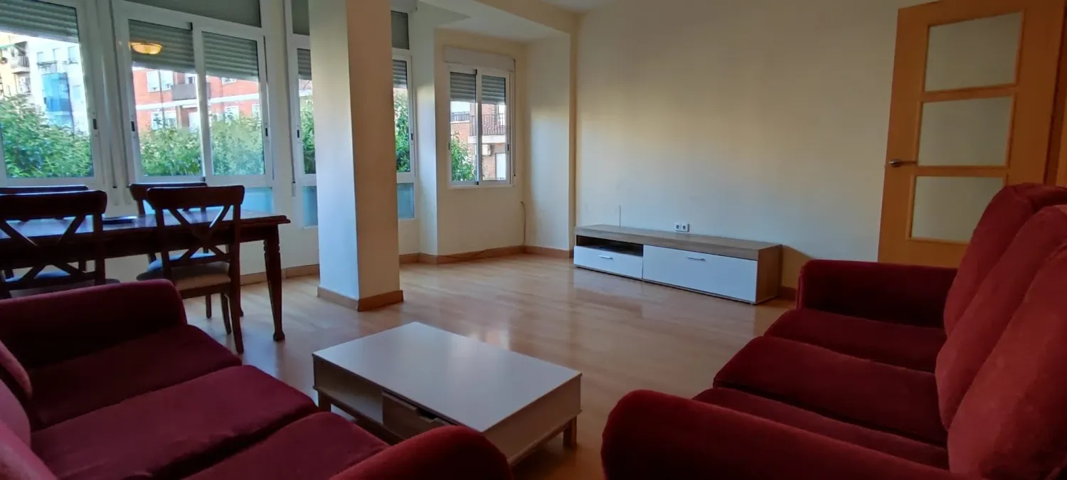 Sala d'estar de Pis de lloguer en  Murcia Capital amb Rentadora