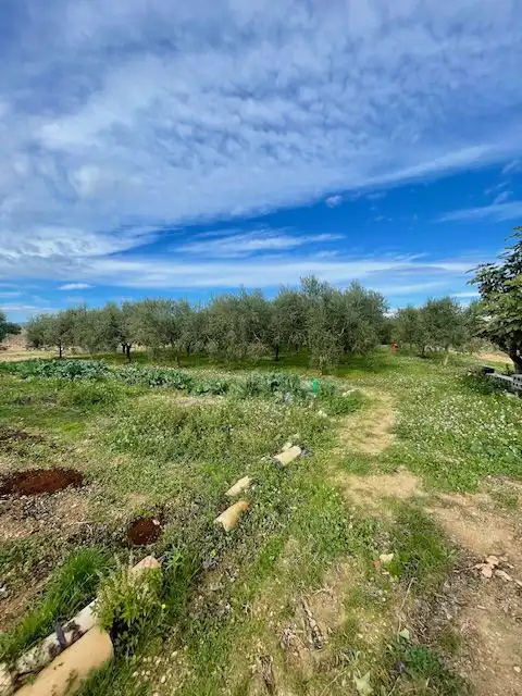 Finca rústica en venda en Sant Martí Sarroca amb Calefacció, Terrassa i Traster