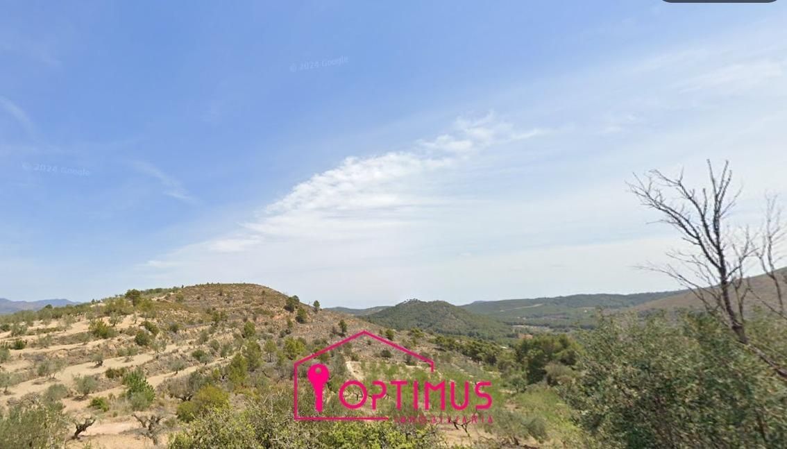 Land for sale in Segorbe