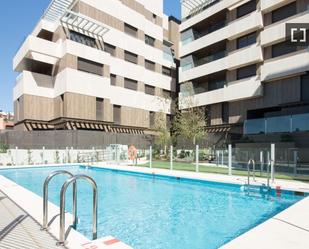 Swimming pool of Flat to rent in  Madrid Capital  with Air Conditioner, Heating and Furnished