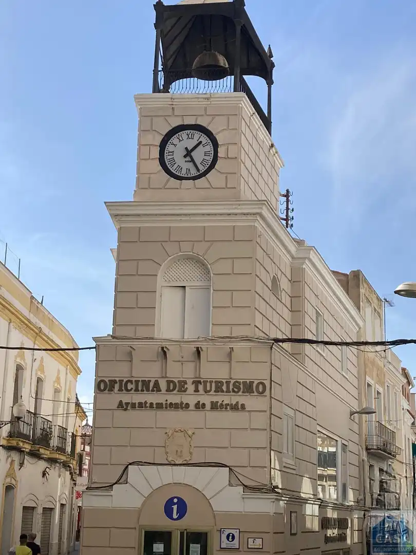 Immobles singulars en venda a Centro