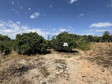 Rustikales Grundstück zum Verkauf in La Pobla Llarga