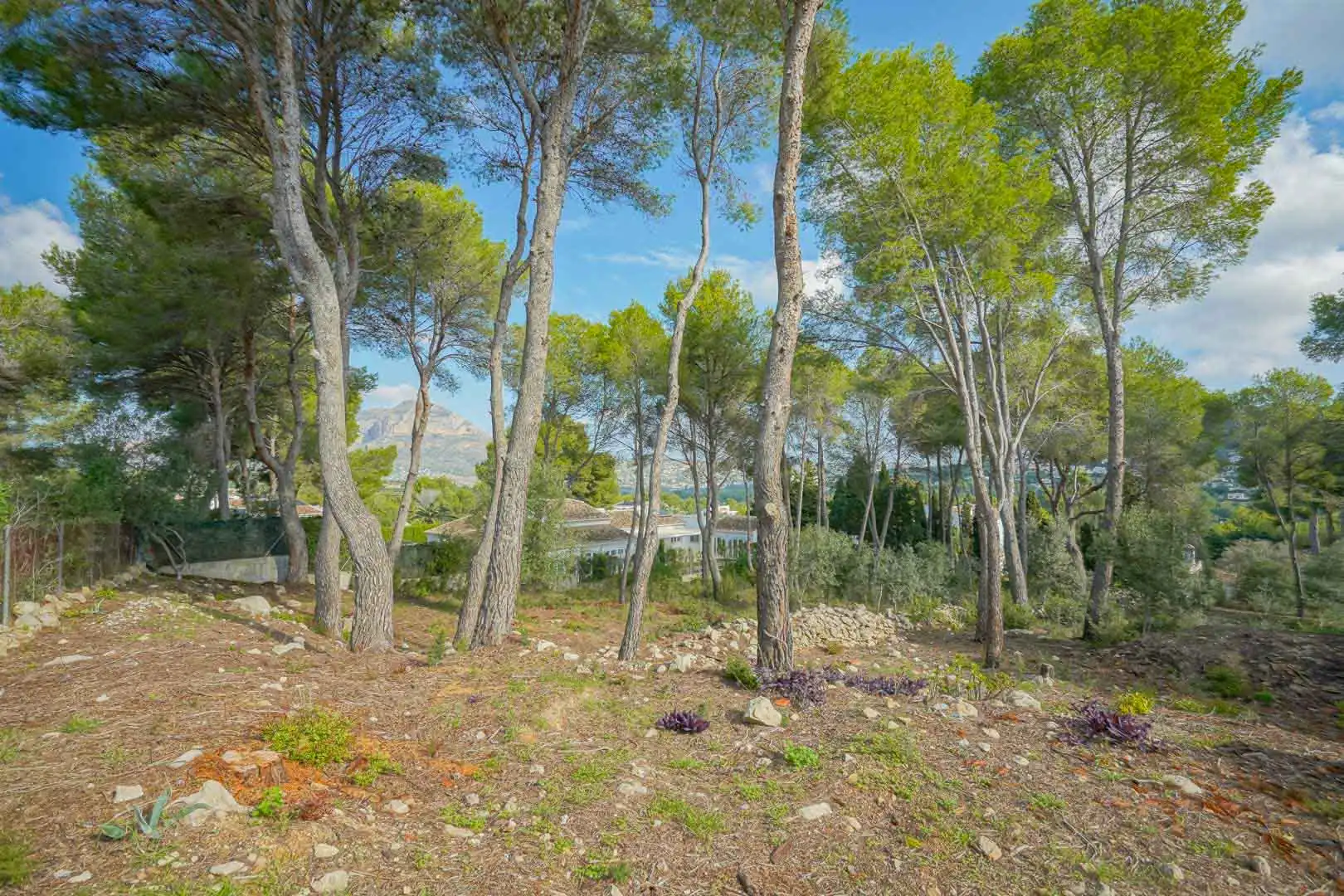 Terreny residencial en venda a Partides comunes - Adsubia, imagen 4